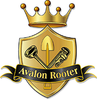 Avalon Rooter